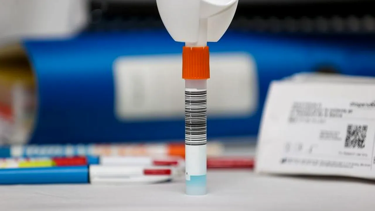 Trei firme împart 80 de milioane de lei, după ce și-au adjudecat primul lot al licitației ONAC pentru 70 de milioane de teste de salivă pentru școli