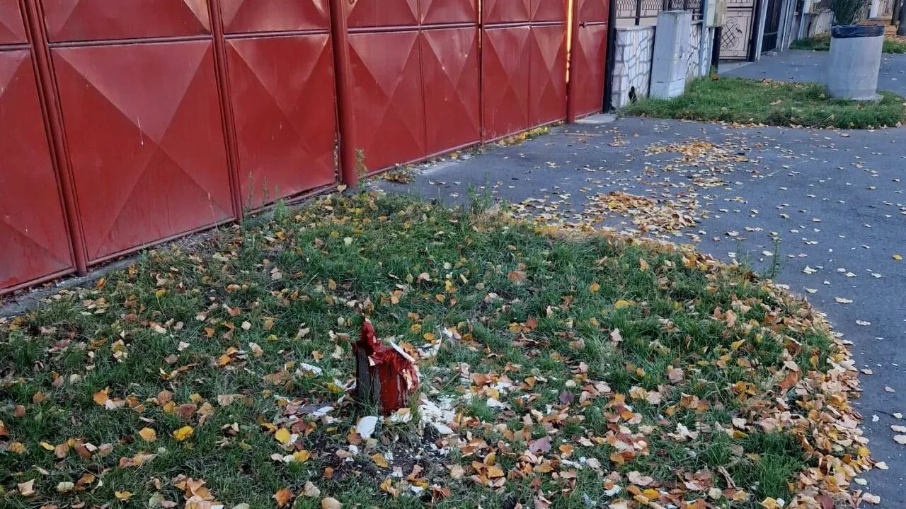 Amendă de 20.000 de lei pentru un sibian care a tăiat teiul de lângă curtea lui. A încercat să ascundă urmele