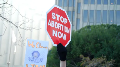 Interzicerea avortului după 15 săptămâni de sarcină, propusă de un senator republican din America: „E un lucru bun să fii la fel de nesăbuit ca francezii”