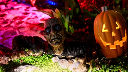 Un cadavru aflat pe o peluză, ignorat câteva zile. Au crezut că este „decorațiune” de Halloween