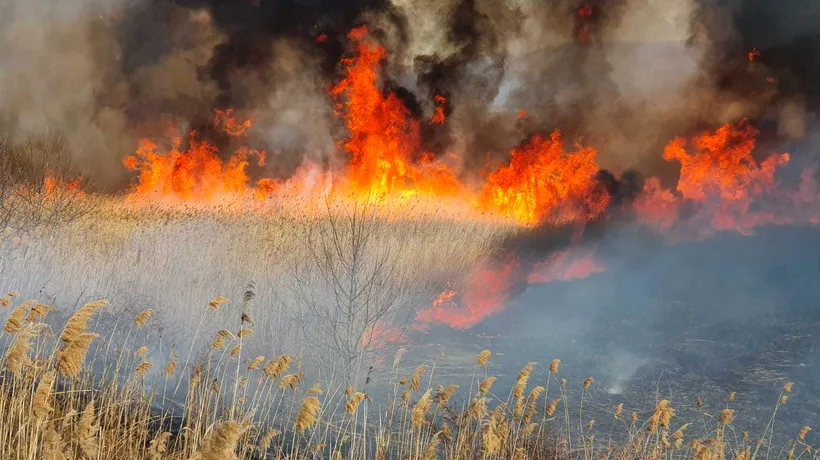 Un incendiu a cuprins 25 de hectare de stuf și vegetație, în Tulcea