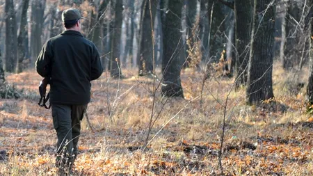 SE ÎNTÂMPLĂ ÎN ROMÂNIA: Bărbat condamnat definitiv pentru furt de arbori, angajat ca pădurar la Direcția Silvică Vaslui  