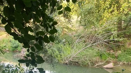 Sfârșit tragic pentru o familie din județul Gorj. Un băiat de 8 ani a murit în râul Motru. Mama și bunicul de 81 de ani s-au înecat încercând să-l salveze