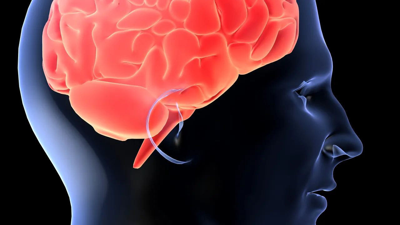 Sistemul cu inteligență artificială care revoluționează medicina. AI poate prezice boli precum Alzheimer sau depresie cu până la 7 ani înainte