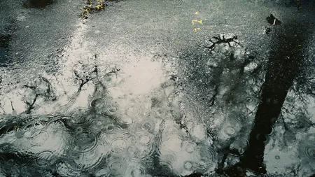 VIDEO | PLOAIE NEAGRĂ asupra Japoniei. Care au fost explicațiile găsite de martori