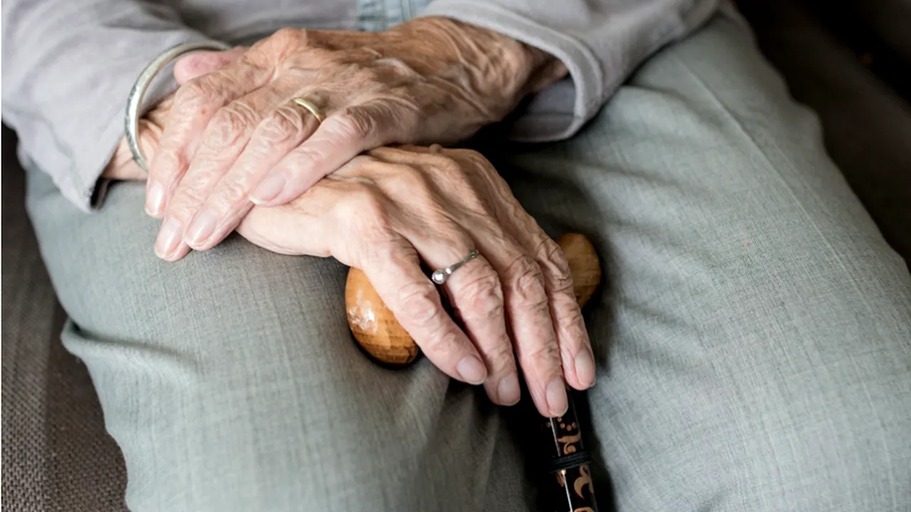 Parazitul care ar putea îmbolnăvi grav bătrânii. De ce animale ar trebui să se ferească