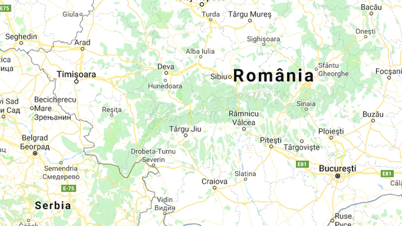 Șapte cetățeni sârbi au fost condamnați la închisoare pentru că s-au alăturat ISIS