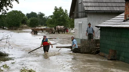 Mai multe case și terenuri agricole din Suceava, inundate în urma unei ploi torențiale