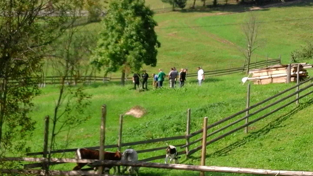 Tragedie la Suceava. Anchetatorii au ridicat noi probe din curtea femeii acuzate că și-a asfixiat copilul