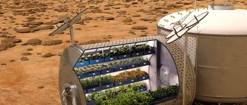 Astronauții vor mânca pentru prima dată salată plantată și crescută pe Stația Spațială Internațională