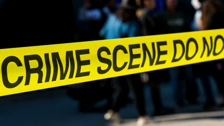 Incident grav în industria AI: un agent al Anthropic a inventat un martor într-un dosar nerezolvat de crimă și a trimis informațiile poliției