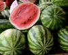 Trucul prin care vei alege mereu cel mai bun PEPENE. Cele 5 semne simple la care trebuie să fi atent înainte să cumperi deliciosul fruct