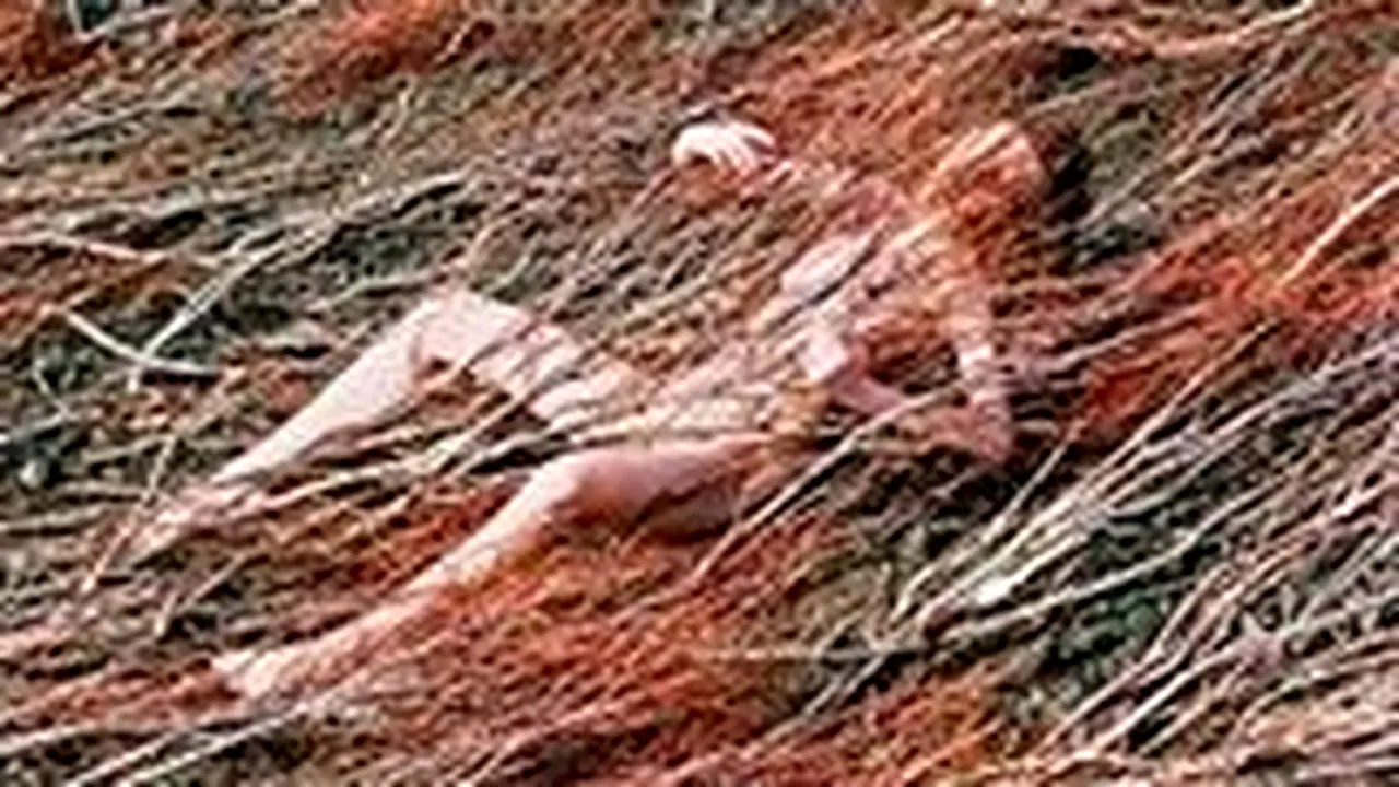 Fotografa din România, banată mereu pe Facebook. Imaginile care n-au trecut de cenzura rețelei de socializare