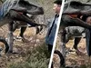 Gestul inconștient al unui turist. Cum a ajuns la spital dintr-un parc cu dinozauri