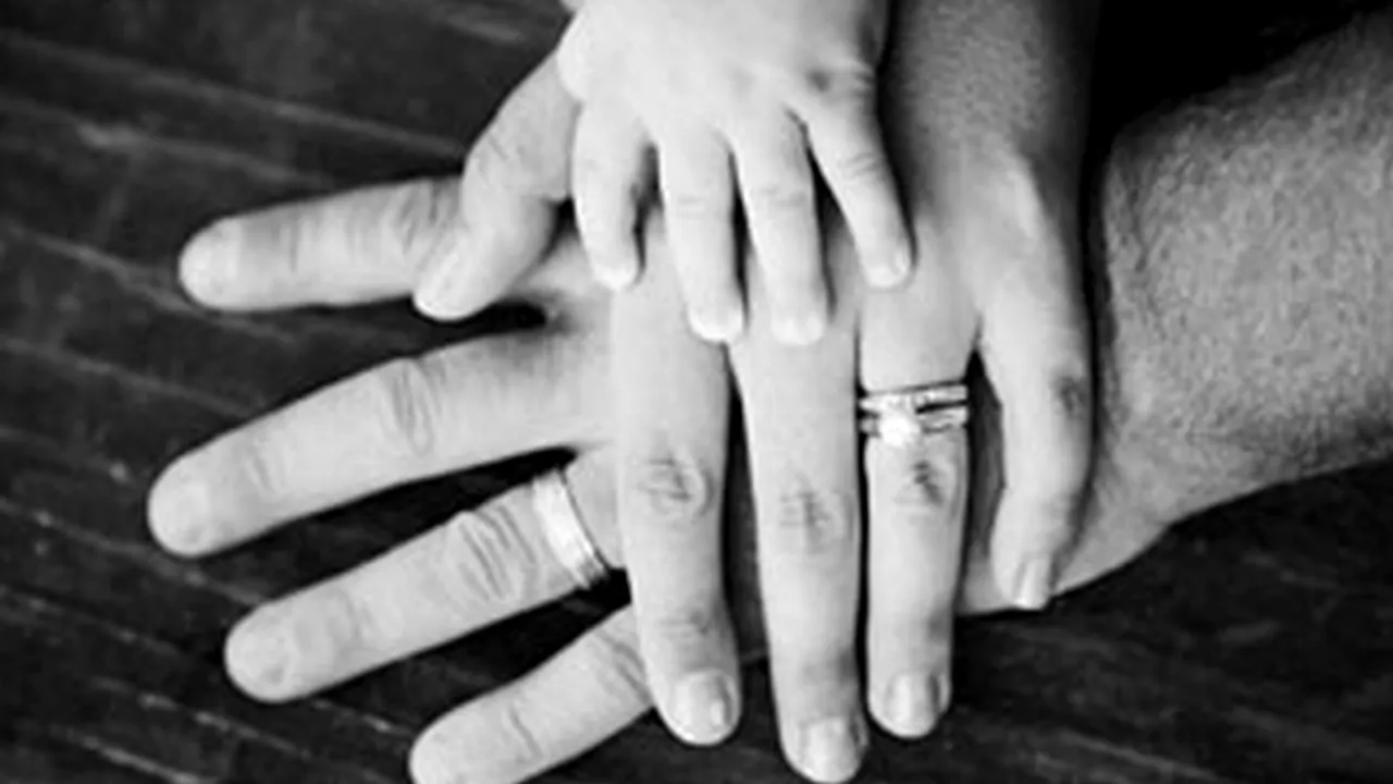 Președintele Camerei: Trebuie neapărat modificat articolul care definește foarte clar familia