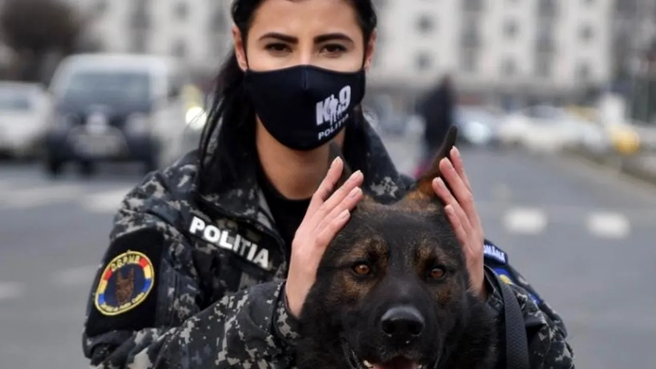 MAI, despre petarde: Pentru animale este un coșmar! 