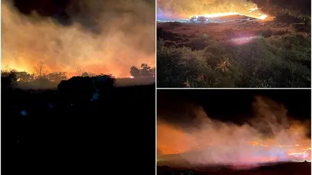 INCENDII în Hawaii. Aproape 100 de decese confirmate / Peste 2000 de clădiri au fost rase de pe fața Pământului - FOTO&VIDEO