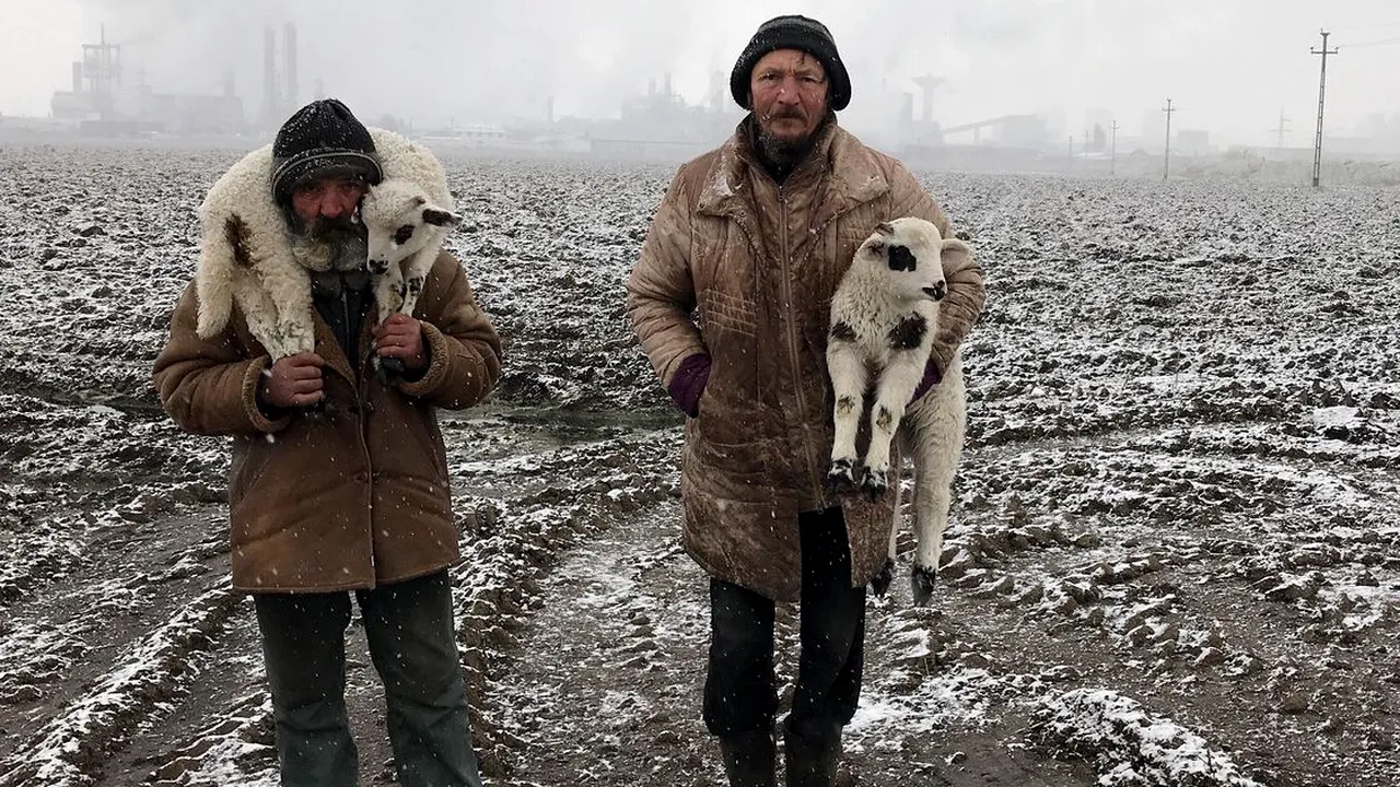 Un fotograf de origine română, desemnat câștigătorul iPhone Photography Awards