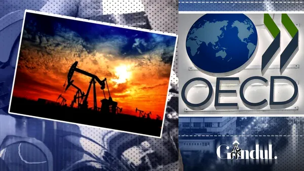 OCDE avertizează asupra unui „scenariu sumbru” la nivel global: prețurile la energie ar putea crește cu 50%