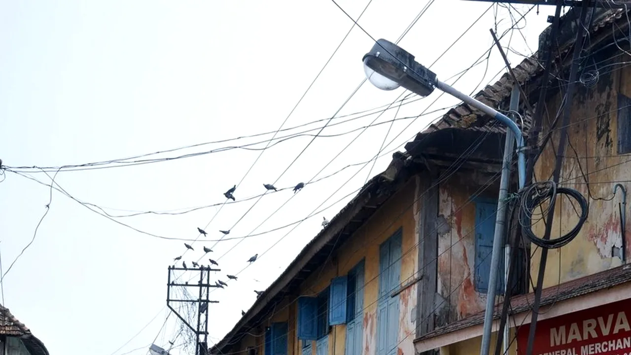 Sacrificii umane în India. Două femeie au fost ucise. Victimele au fost decapitate, iar cadavrele au fost tăiate în bucăţi.