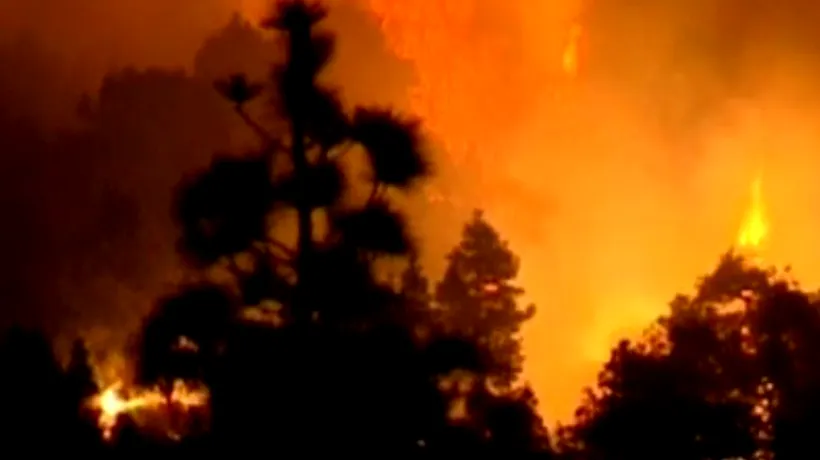 Un mort și mii de hectare de pădure arse, după ce un german a dat foc unei hârtii igienice, în Insulele Canare