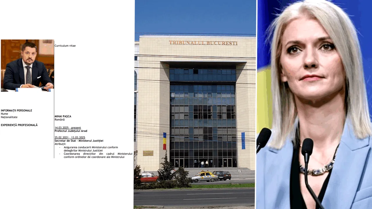 PNL a acuzat Tribunalul Bucureşti de favorizarea disidenţilor din partid. În realitate, judecătoarea care a suspendat decizia de convocare a Congresului Extraordinar a fost numită de tabăra pro-Bolojan, nu de fostul ministru Alina Gorghiu - SURSE