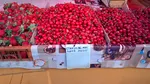 Cât costă un kilogram de cireșe în mai 2025 într-o piață din București? „Faci credit să duci acasă la copii”