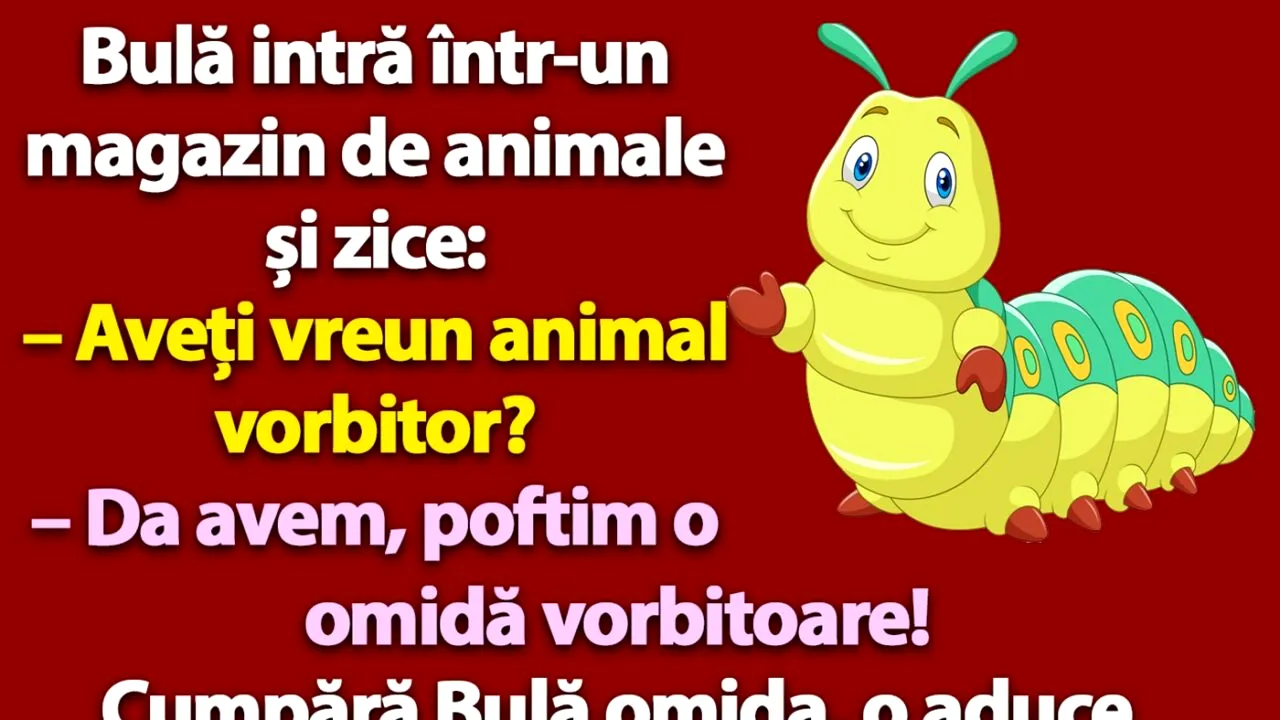 Bancul nopții | Bulă cumpără o omidă vorbitoare