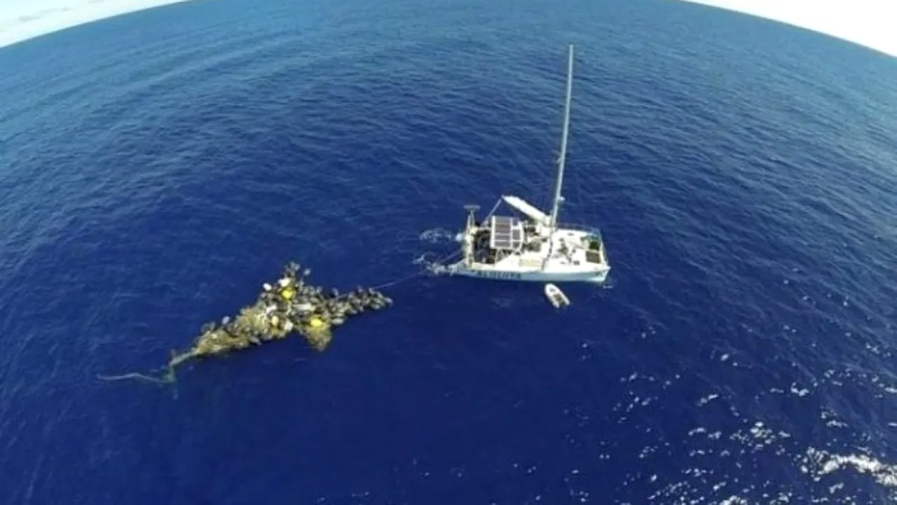 Noi imagini din Pacific. Cum arată acum 