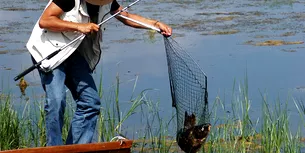 Zeci de pescari care se aflau pe malul Prutului, CONTROLAȚI de Poliție. O parte dintre ei s-au ales cu amenzi și dosare penale