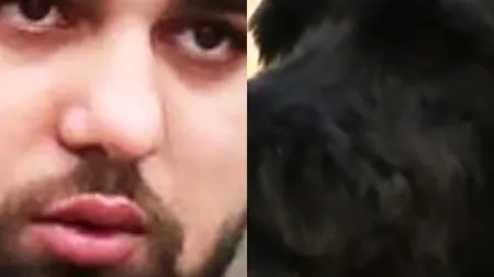 Un curier român, condamnat în Marea Britanie, după ce a furat O CĂȚELUȘĂ din curtea unui client

