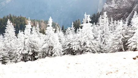 Valul de aer POLAR care a sosit în Romania poate provoca ninsori chiar și în București. Cât va măsura stratul de zăpadă de la munte