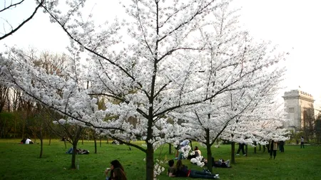 PROGNOZA METEO. Cum va fi vremea în weekend în București, în țară și la munte