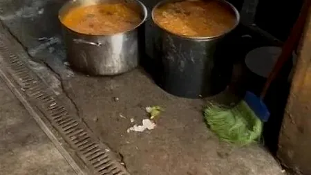 Focar de INFECȚIE la o pensiune din Vâlcea. Mâncare pe jos, saltele murdare și animale în bucătărie