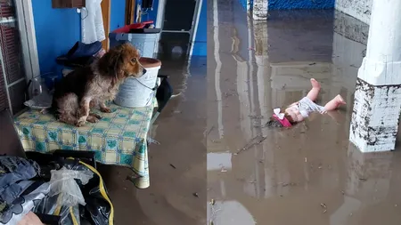 Strigătul de DISPERARE al unei femei, care încearcă să salveze casa bunicilor din Slobozia Conachi: 