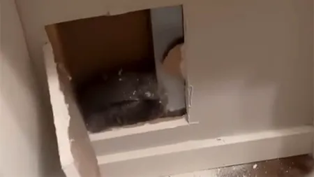 Speriată de zgomotele ciudate din locuința ei, o femeie a spart peretele. Ireal ce a găsit!