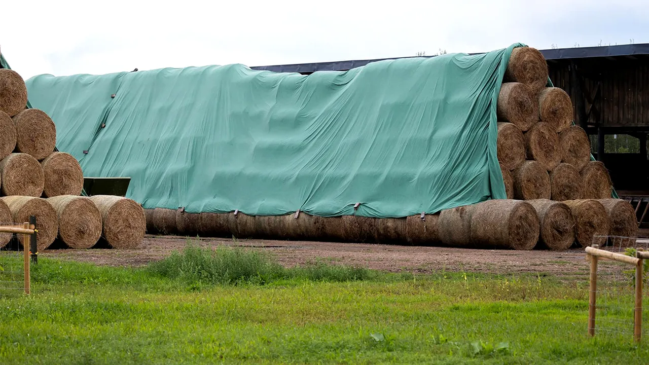 (P) Ce soluții moderne ai la îndemână pentru protejarea culturilor?