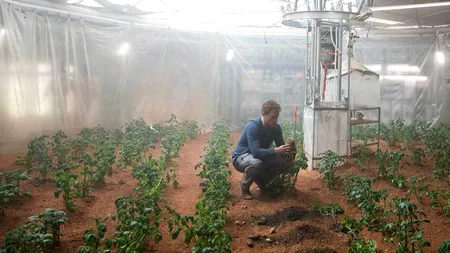 NASA a făcut anunțul. Unde va încerca să cultive CARTOFI