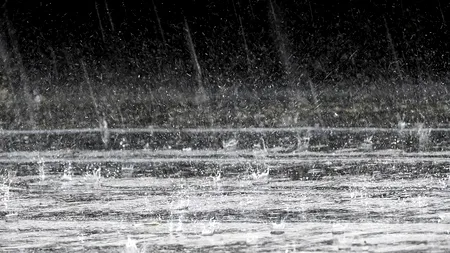 Digul de gabioane de pe Teleajen, în pericol să cedeze! Ploile au făcut prăpăd în Prahova!