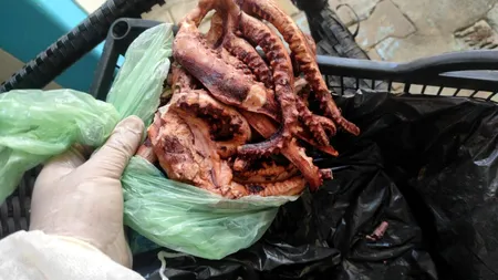 FOTO ȘI VIDEO| Restaurant din Costinești, ATENTAT la sănătatea oamenilor, în plin sezon estival. 