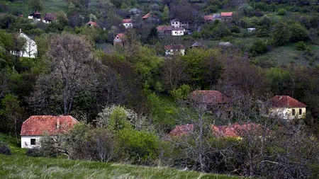 Autoritățile dintr-un oraș sârb au dat alarmă pentru 
