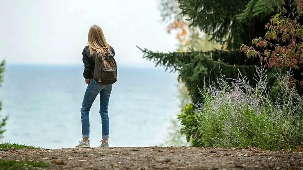 Test IQ. Doar 5% din oameni pot descoperi pisica ascunsă în imagine în 21 de secunde. Dacă reușești înseamnă că ai o minte sclipitoare