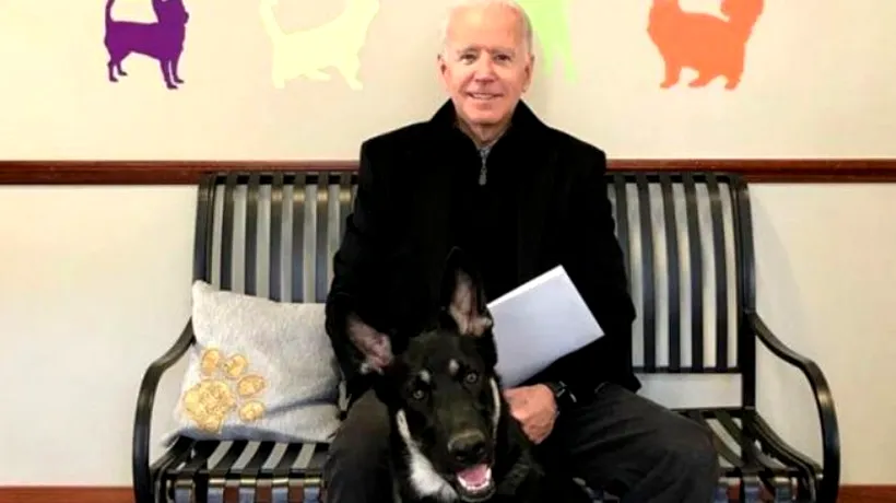 Câinii lui Joe Biden, președintele SUA, interziși la Casa Albă. Cum s-a ajuns la această situație