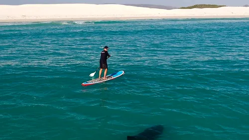 Un fotograf a surprins momentul în care un surfer se întâlnește cu marele rechin alb. „Totul s-a întâmplat foarte repede