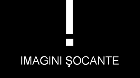 PRIMELE FOTOGRAFII cu ambasadorul american ucis în atacul din Benghazi