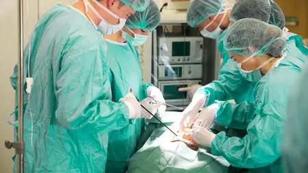 Premieră medicală în China. Un plămân de PORC modificat genetic a fost transplantat unui pacient uman