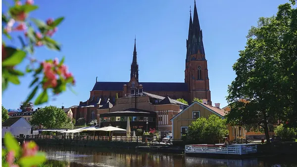 Orașul care vinde IQ pe o scară Celsius. Secretul vikingilor