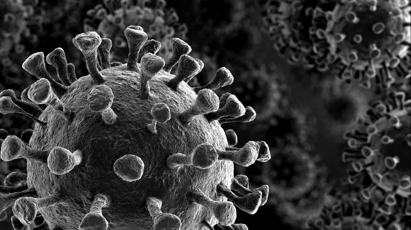 Cum a devenit varianta alpha a coronavirusului atât de puternică. Concluziile oamenilor de știință