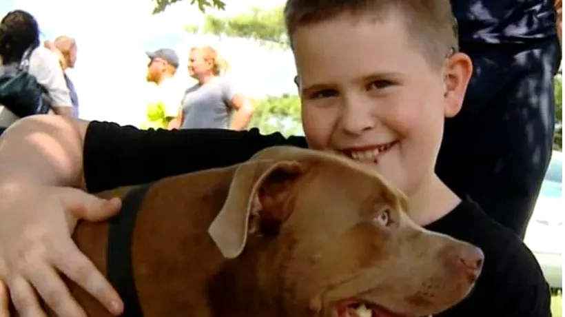 Acest pitbull i-a salvat viața unui copil surd