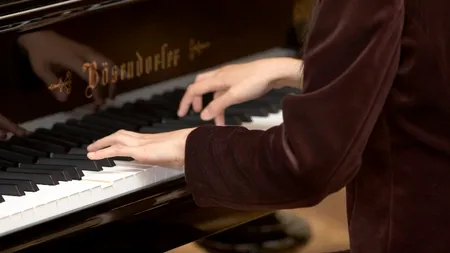  Câți bani poate câștiga un violonist sau un pianist cunoscut din concertele susținute într-un an